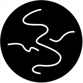 Rosco Gobo 74063 Organic 13