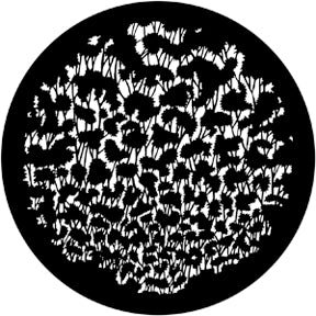 Rosco Gobo 77446 Foliage (Distorted)