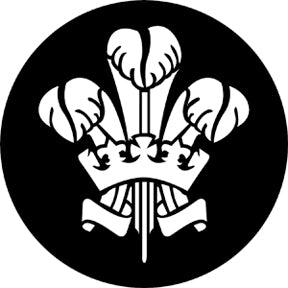 Rosco Gobo 77670 Feathers