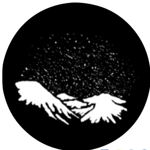 Rosco Gobo 77854 Midnight Snow