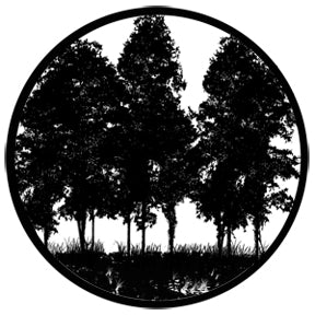Rosco Gobo 78432 Tree Silouhette 2