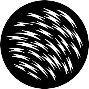 Rosco Gobo 79071 Zeds-A-Leaping