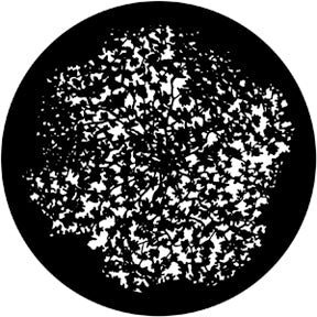 Rosco Gobo 79117 Dense Leaves 3