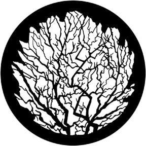 Rosco Gobo 79119 Winter Tree 2