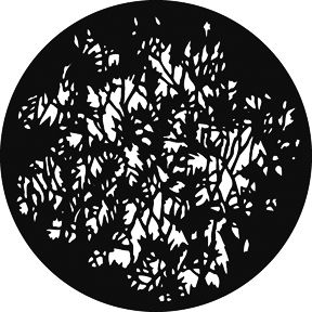 Rosco Gam Gobo G379 Open Foliage
