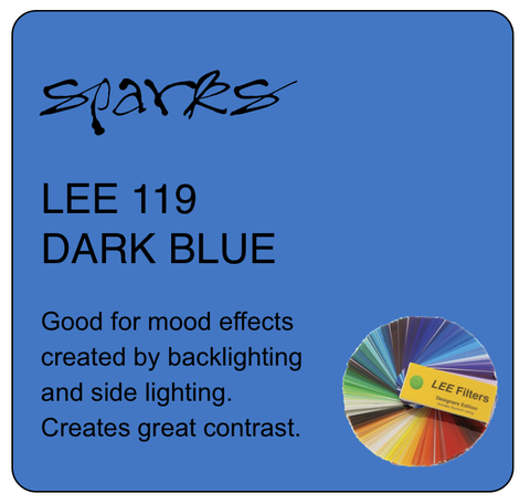 LEE 119 DARK BLUE