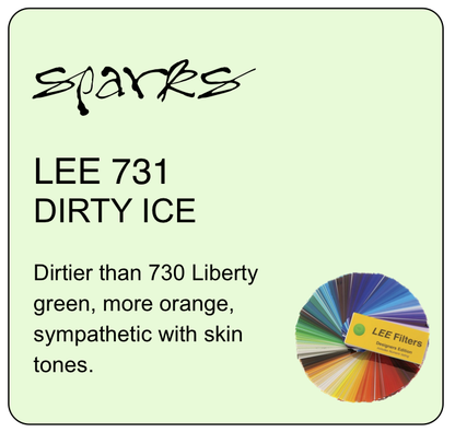 LEE 731 DIRTY ICE